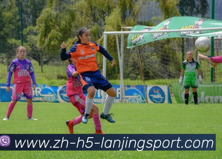 蓝鲸体育APP 封面图